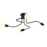 Потолочный светильник в стиле лофт Ambrella light TR8022