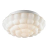 Потолочный светильник Arte Lamp AQUA A5130PL-2WH