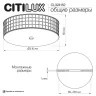 Потолочный светильник Citilux Портал CL324152