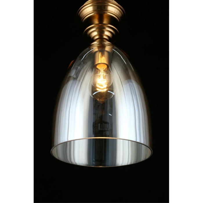 Светильник подвесной Aployt Rena APL.602.06.01