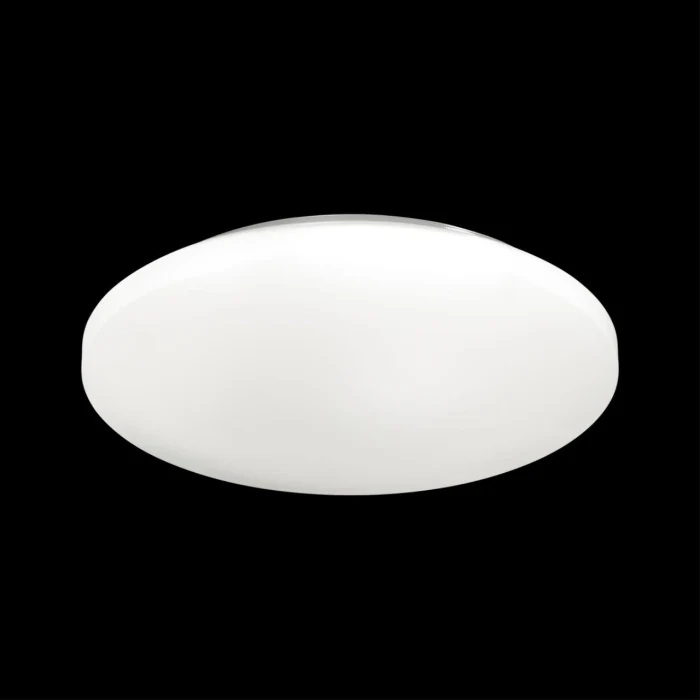 3017/DLN PALE SN 218 Светильник пластик/белый LED 48Вт 3000/4000/6000К D400 IP43 CCT SIMPLE