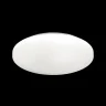 3017/DLN PALE SN 218 Светильник пластик/белый LED 48Вт 3000/4000/6000К D400 IP43 CCT SIMPLE