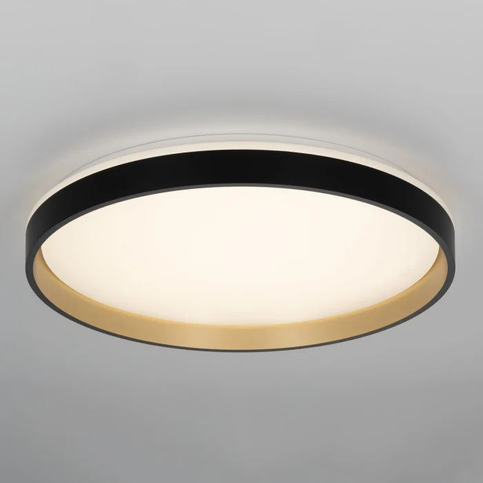 Потолочный светильник Citilux Enzo CL753511G
