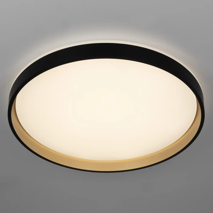 Потолочный светильник Citilux Enzo CL753511G