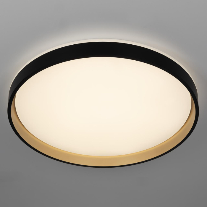 Потолочный светильник Citilux Enzo CL753511G