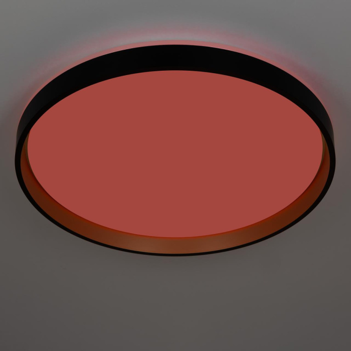 Потолочный светильник Citilux Enzo CL753511G