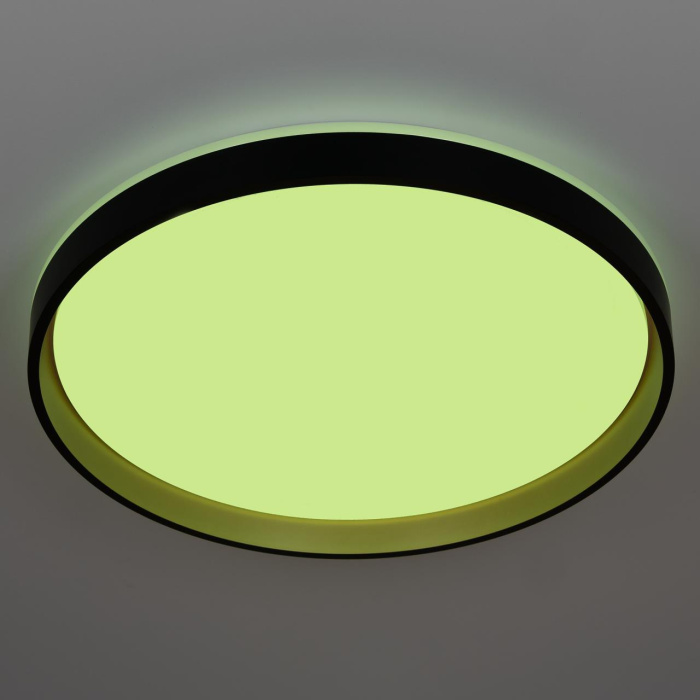 Потолочный светильник Citilux Enzo CL753511G