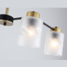 Люстра на штанге со стеклянными плафонами AMBRELLA light TR303324