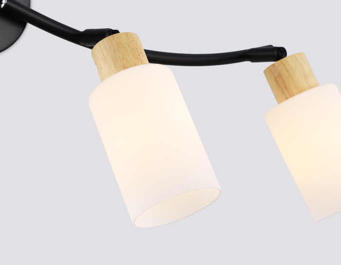 Настенно-потолочный спот в стиле лофт AMBRELLA light TR8723