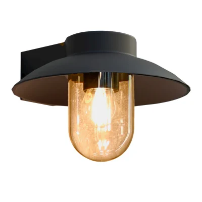 Светильник настенный Favourite 4384-1W