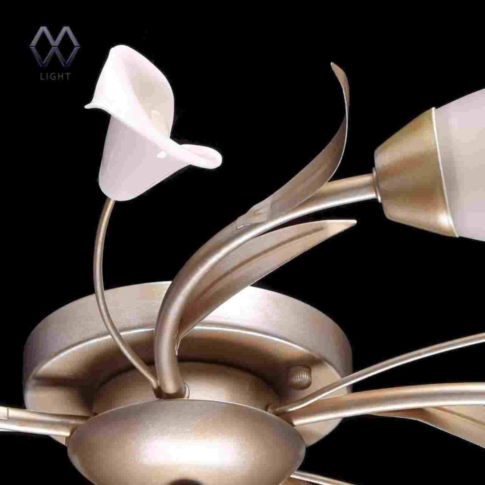 Люстра потолочная Восторг MW-LIGHT 242016205