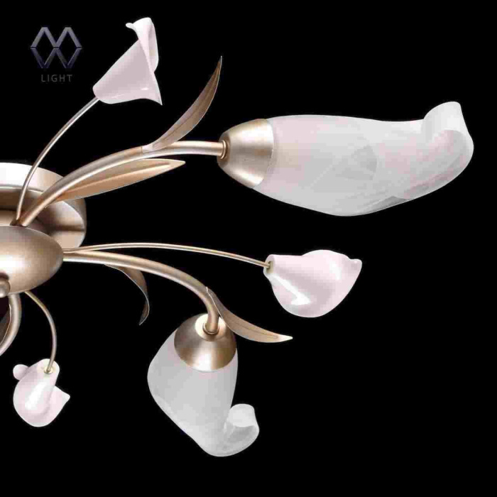 Люстра потолочная Восторг MW-LIGHT 242016205