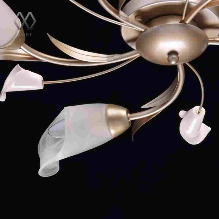 Люстра потолочная Восторг MW-LIGHT 242016205