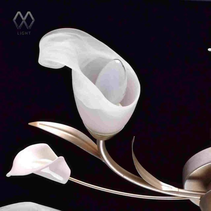 Люстра потолочная Восторг MW-LIGHT 242016205