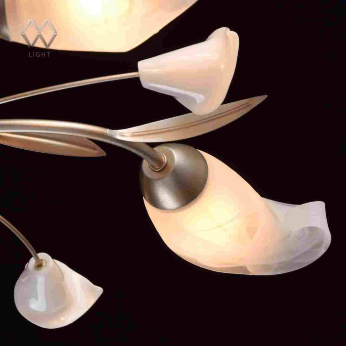 Люстра потолочная Восторг MW-LIGHT 242016205