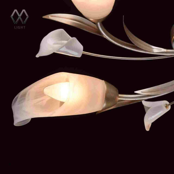 Люстра потолочная Восторг MW-LIGHT 242016205