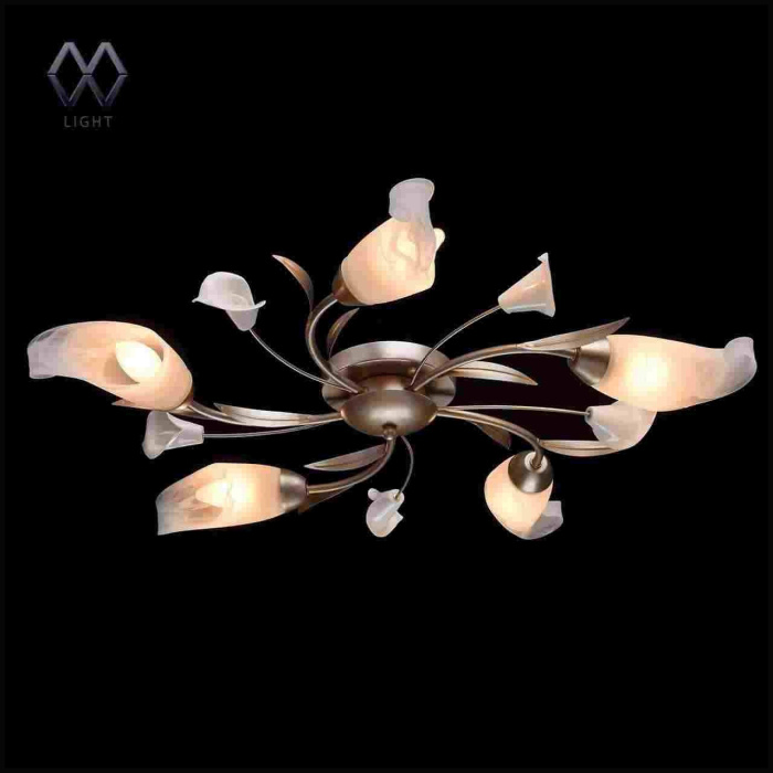 Люстра потолочная Восторг MW-LIGHT 242016205