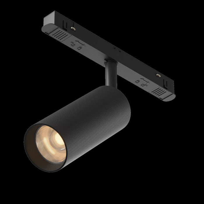 Трековый светильник Maytoni Artisan TR097-2-12W3K-M-BB