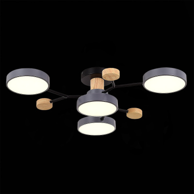 Потолочный светильник evoluce FAEMA SLE6006-702-04