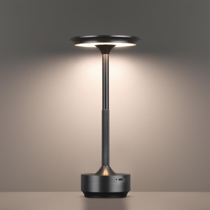 Настольная лампа Odeon Light Tet-a-tet 5034/6TL