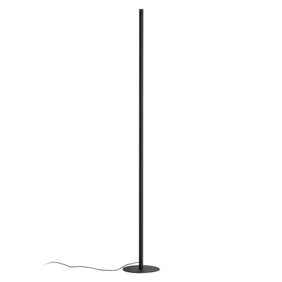 Напольный светильник Odeon Light Fillini 4335/32FL