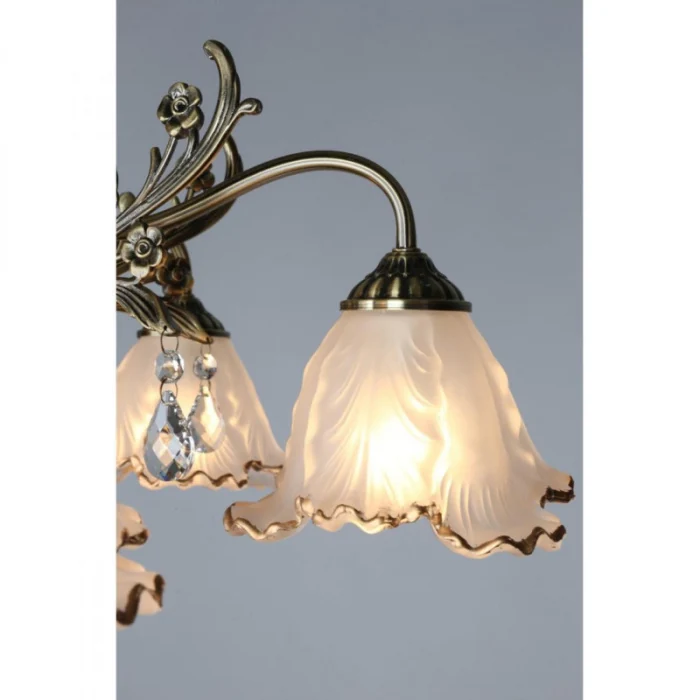 Люстра потолочная Omnilux Petrara OML-54807-05