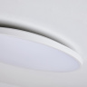 Потолочный светильник Lightstar Arco eco 225751