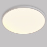 Потолочный светильник Lightstar Arco eco 225751