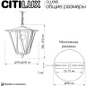 Уличный подвесной светильник Citilux Forts CLU09S