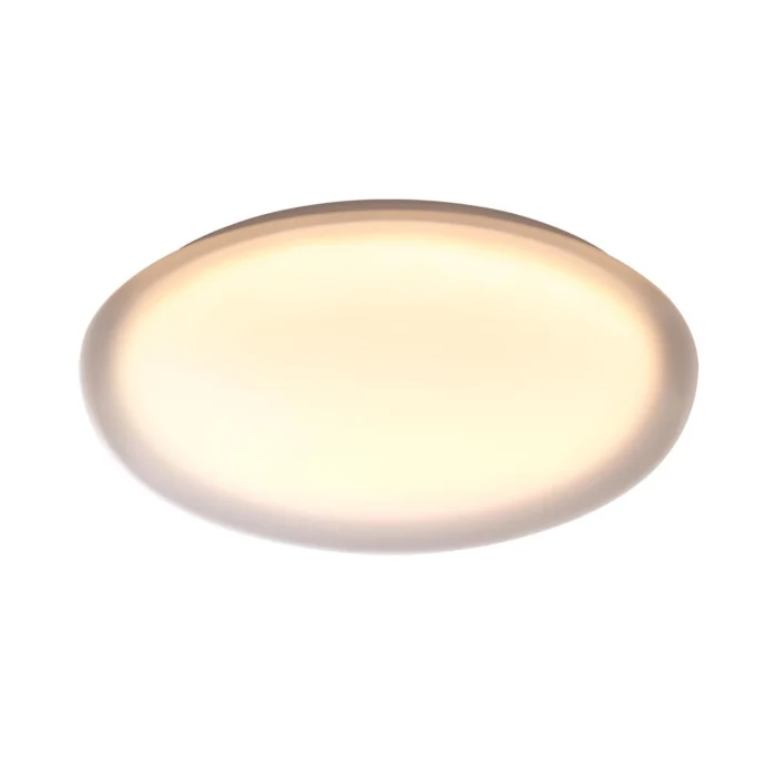 Настенно-потолочный светильник СОНЕКС PALE 7776/DLN