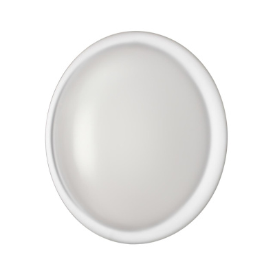 Настенно-потолочный светильник СОНЕКС PALE 7776/DLN