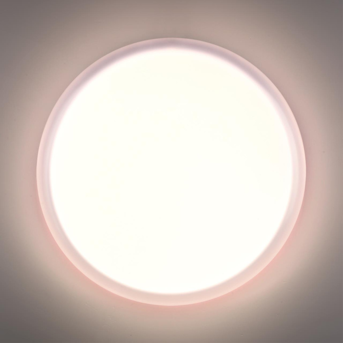 Настенно-потолочный светильник СОНЕКС PALE 7776/DLN