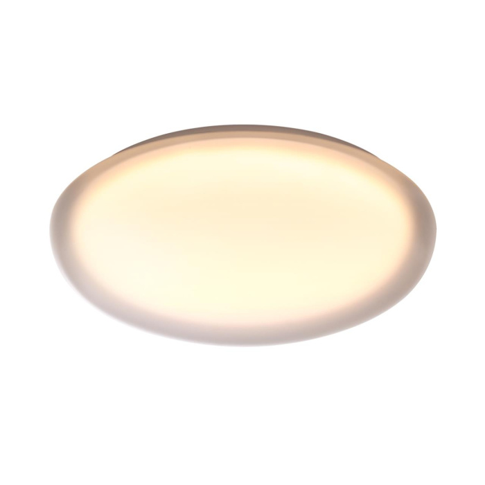 Настенно-потолочный светильник СОНЕКС PALE 7776/DLN