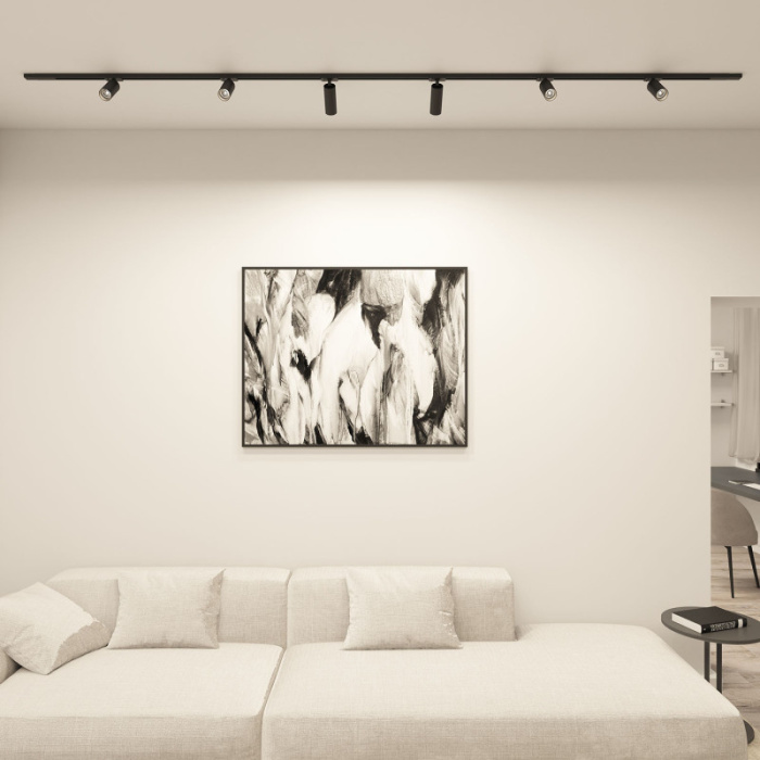 Светильник на шине Denkirs Scope DK6060-BK