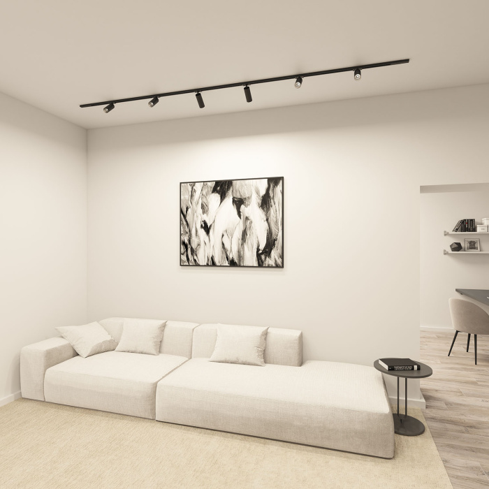 Светильник на шине Denkirs Scope DK6060-BK