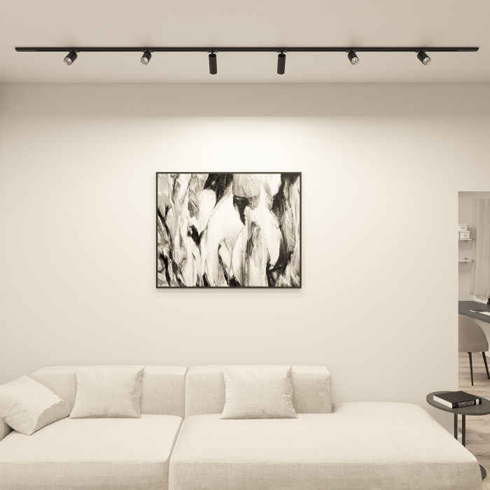 Светильник на шине Denkirs Scope DK6060-BK