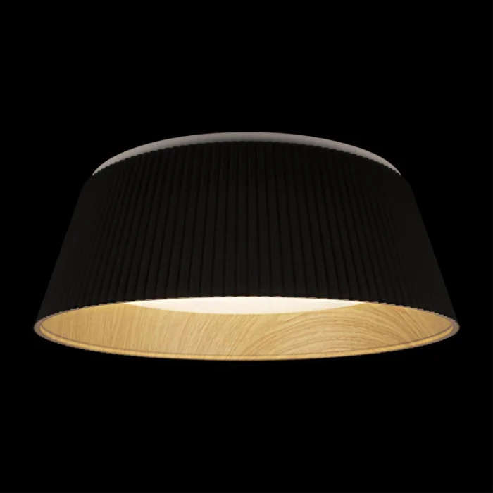 Потолочный светильник Loft it Evans 10224 Black