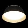 Потолочный светильник Loft it Evans 10224 Black
