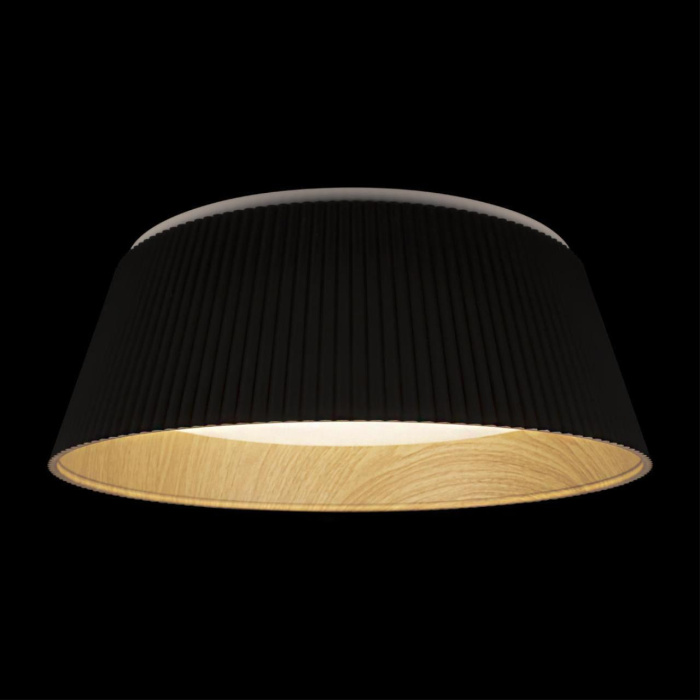 Потолочный светильник Loft it Evans 10224 Black