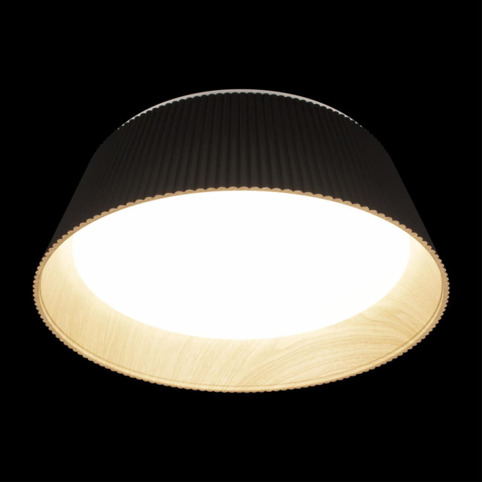 Потолочный светильник Loft it Evans 10224 Black