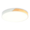 Потолочный светодиодный светильник Ambrella light FZ1301