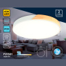 Потолочный светодиодный светильник Ambrella light FZ1301
