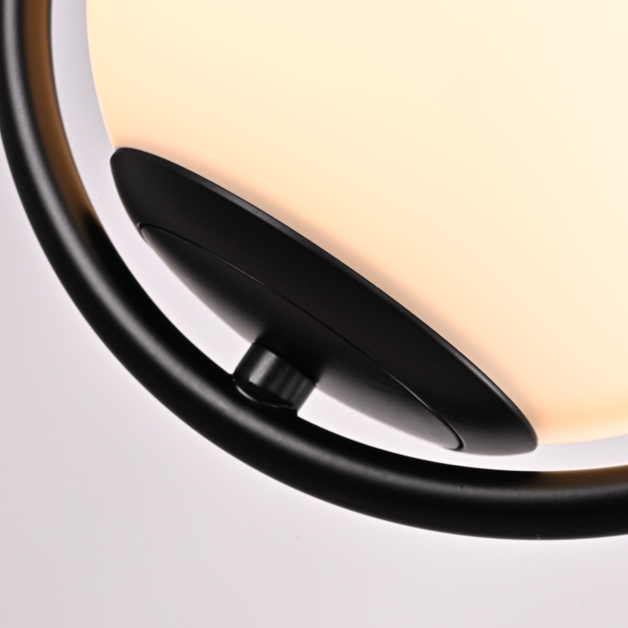 Подвесной светильник HOOP DROP Black ImperiumLoft