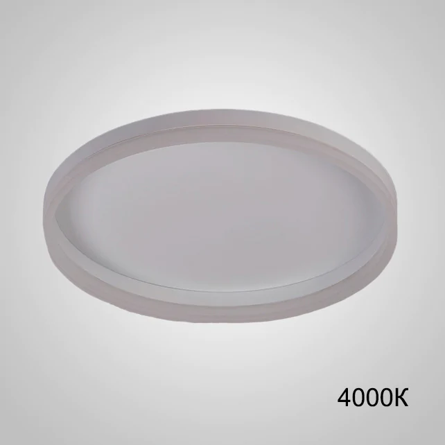 Потолочный светильник MONET D80 White 4000К ImperiumLoft