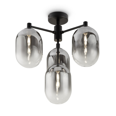 Потолочный светильник Freya Tesse FR1011PL-04B