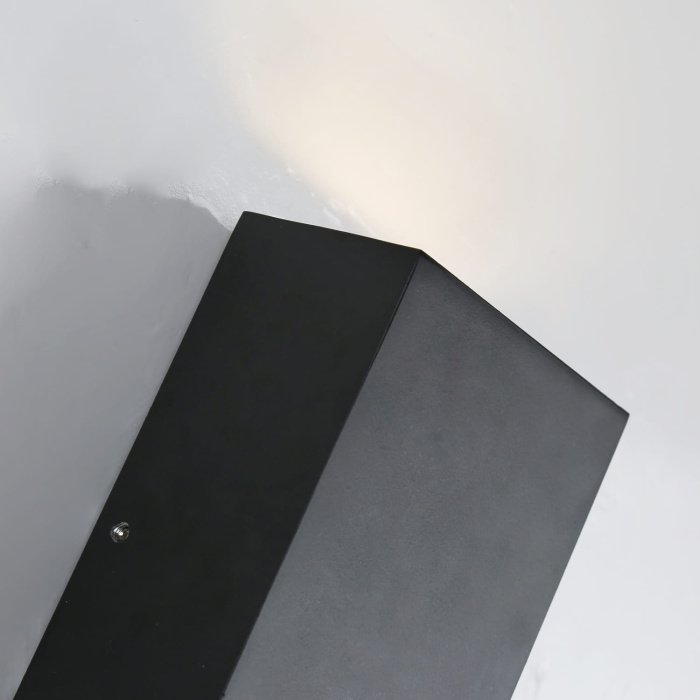 Уличный настенный светодиодный светильник Favourite Lenis 2681-2W