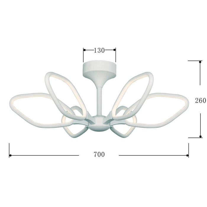 Потолочный светодиодный светильник Favourite Borges 2562-6U