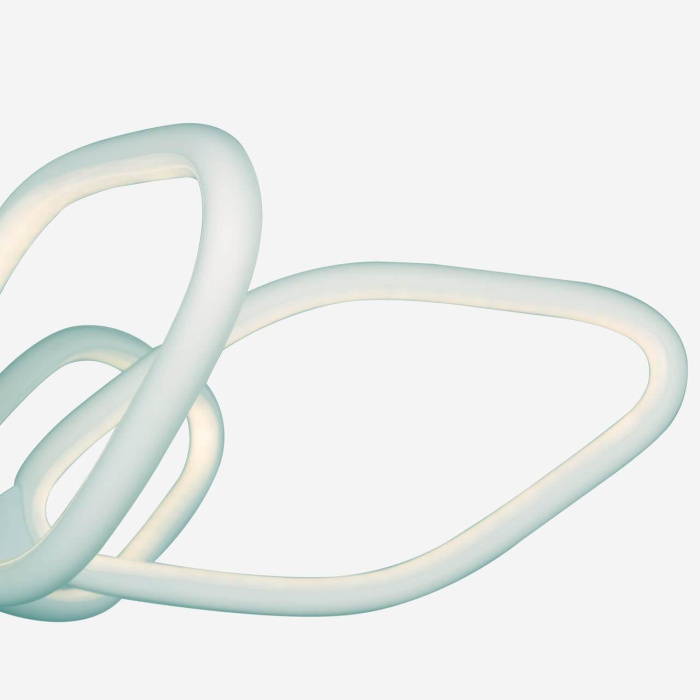 Потолочный светодиодный светильник Favourite Borges 2562-6U