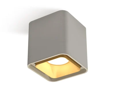 Комплект накладного светильника Ambrella light XS7842004