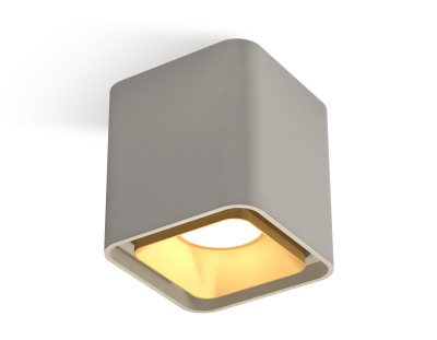 Комплект накладного светильника Ambrella light XS7842004